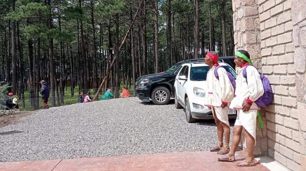 d55c291c-8e8c-49d9-b445-32c7561e355a