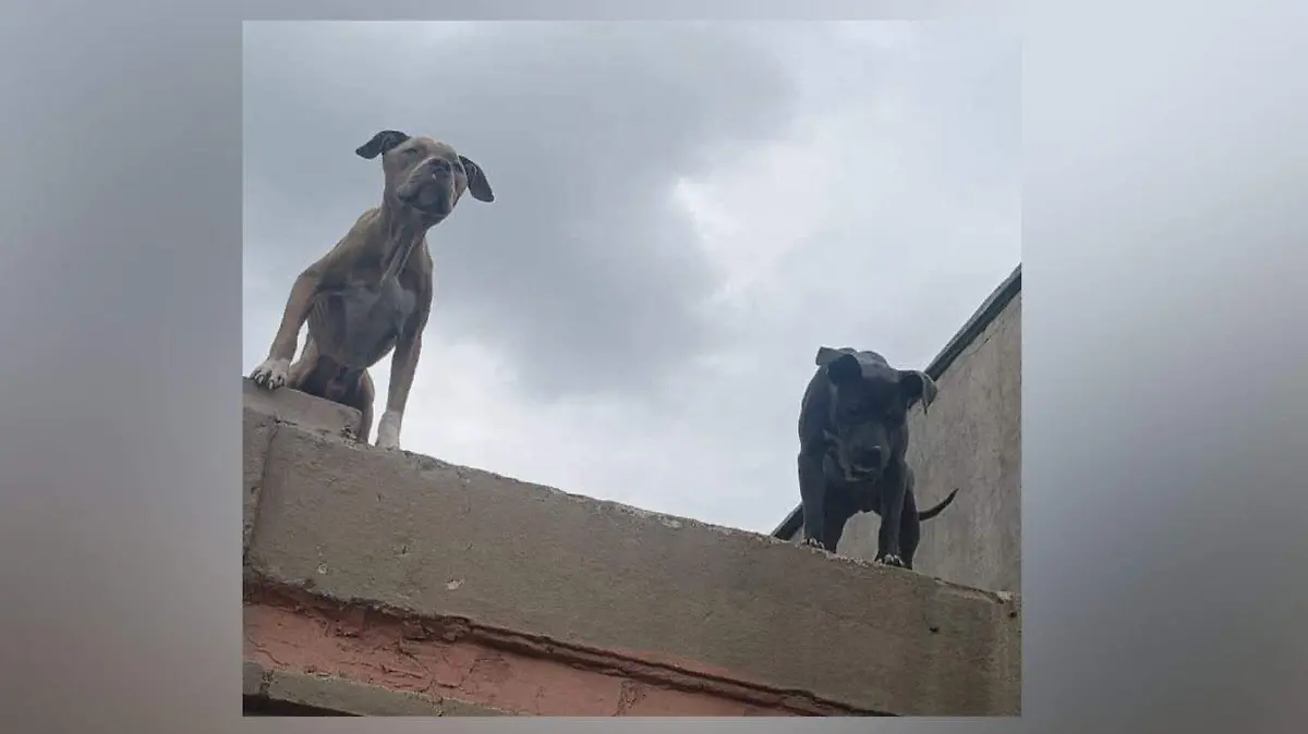 b8d3881c-2569-424b-b289-6af579dd6d66