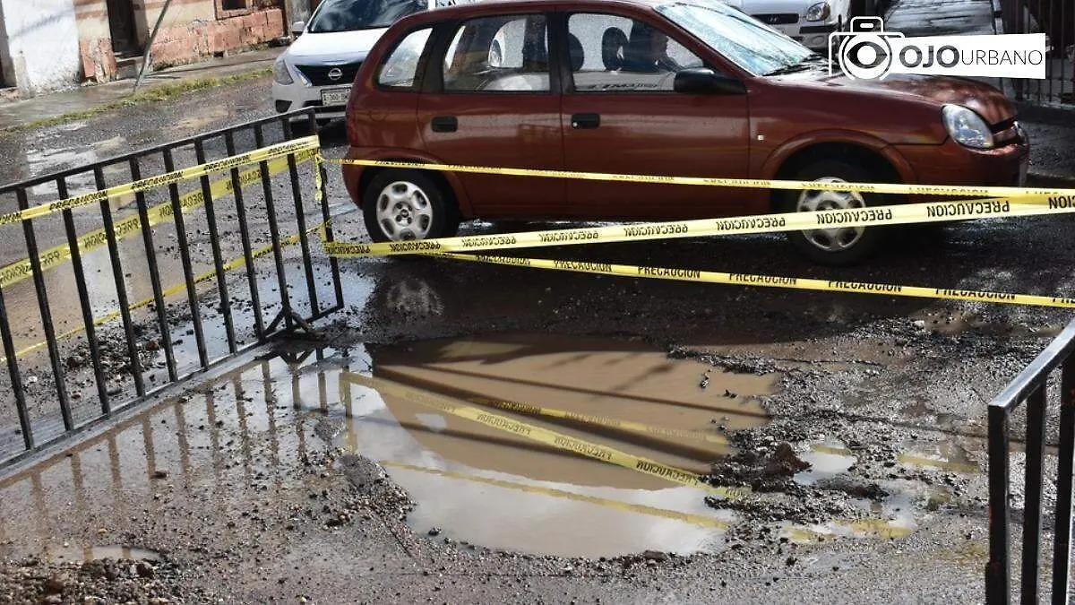 WhatsApp Image 2026-02-10 at 3.51.58 PM