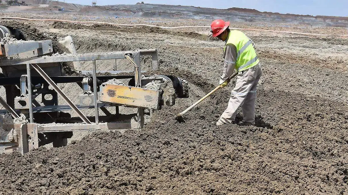 WhatsApp Image 2026-02-10 at 4.54.09 PM