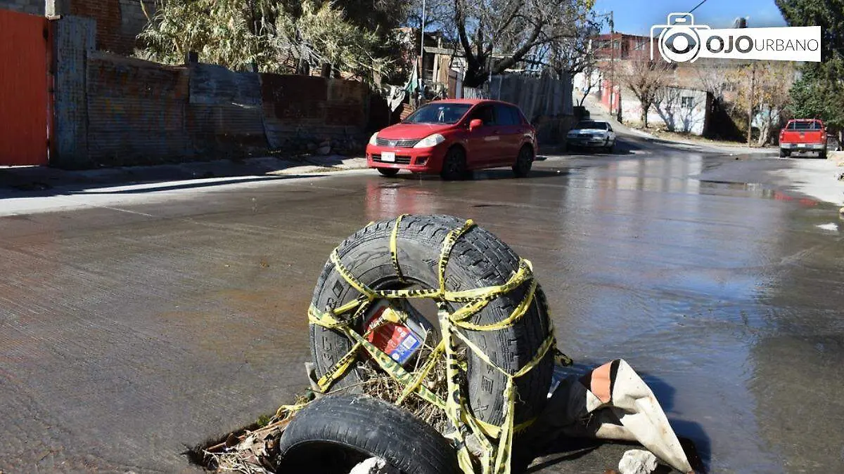 WhatsApp Image 2026-02-11 at 4.46.11 PM