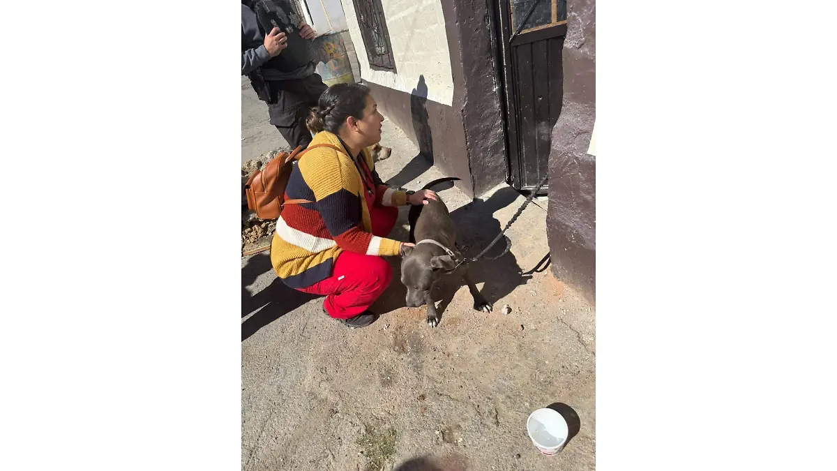 DF69A1A4-7165-4695-B8DB-E2C2FA11B1E8