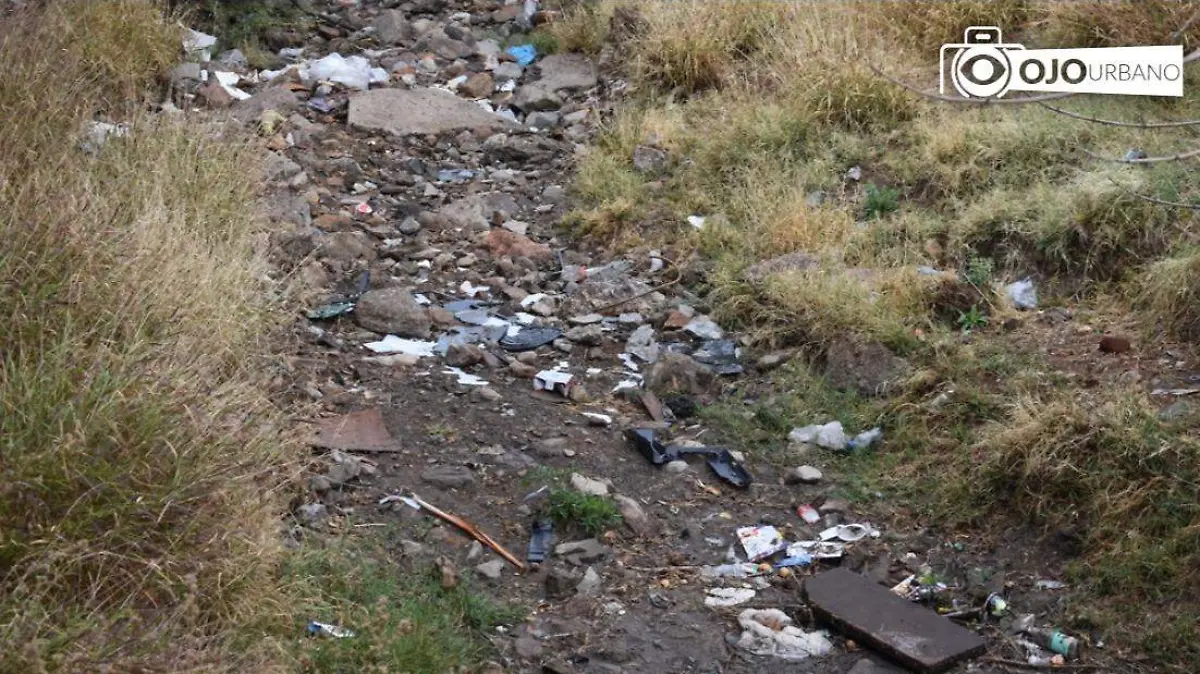 WhatsApp Image 2026-02-12 at 5.26.00 PM