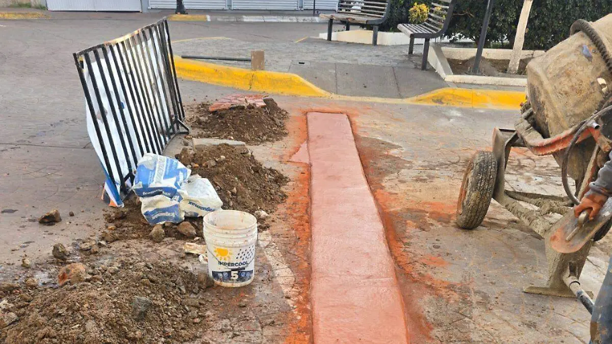 WhatsApp Image 2026-02-12 at 6.11.34 PM