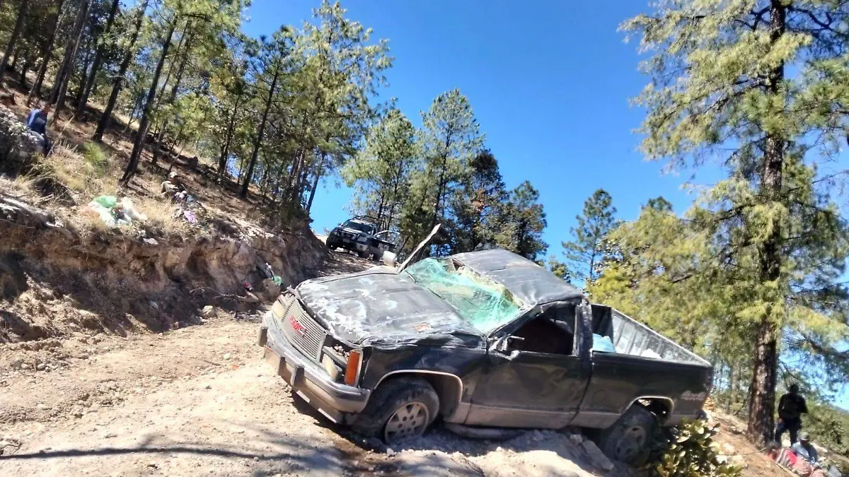 WhatsApp Image 2026-02-14 at 3.18.17 PM