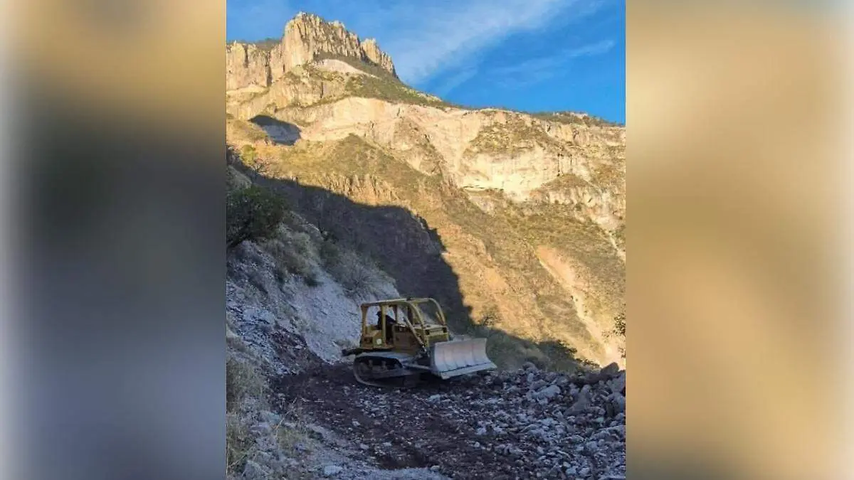 WhatsApp Image 2026-02-14 at 5.31.43 PM