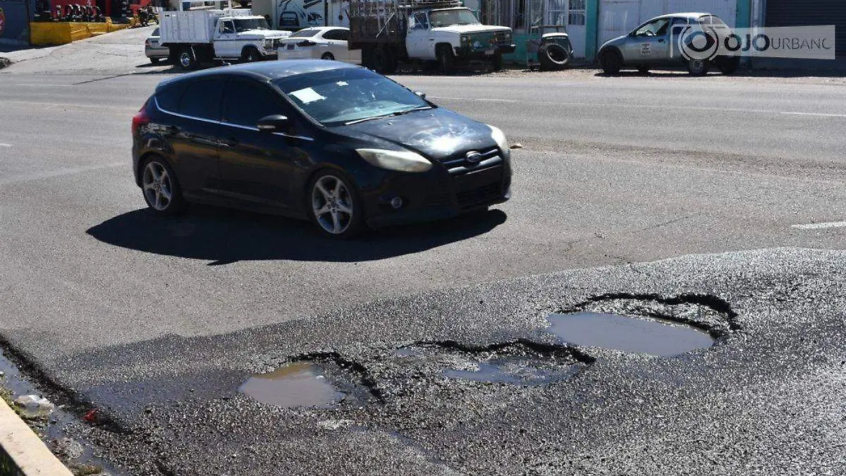 WhatsApp Image 2026-02-15 at 4.34.33 PM