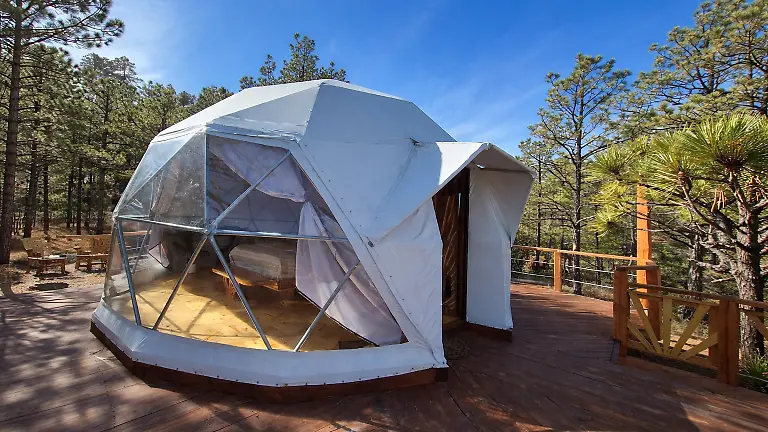 ChatGPT Image 15 feb 2026, 16_59_00