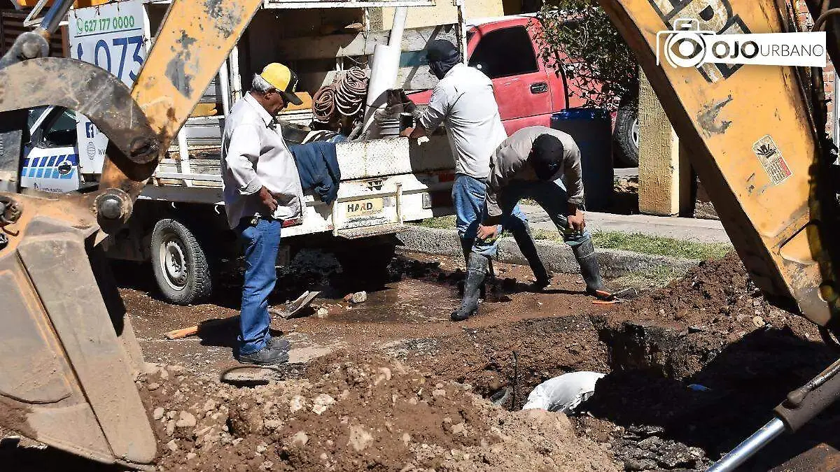 WhatsApp Image 2026-02-16 at 4.39.29 PM