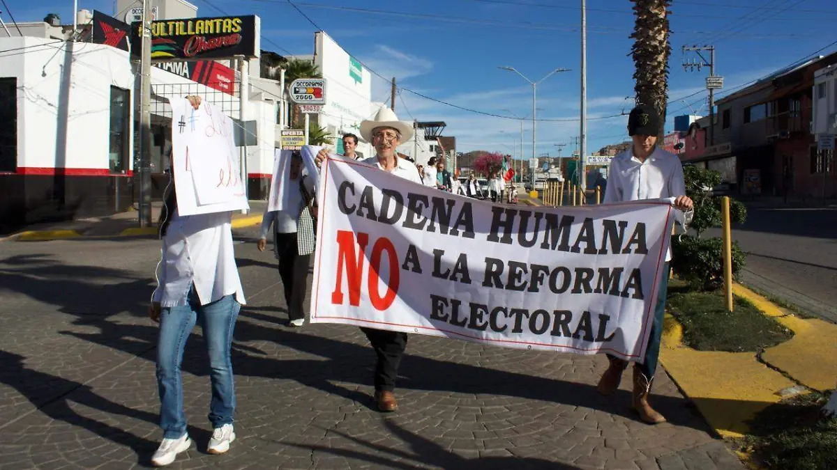 WhatsApp Image 2026-02-18 at 12.31.37 PM