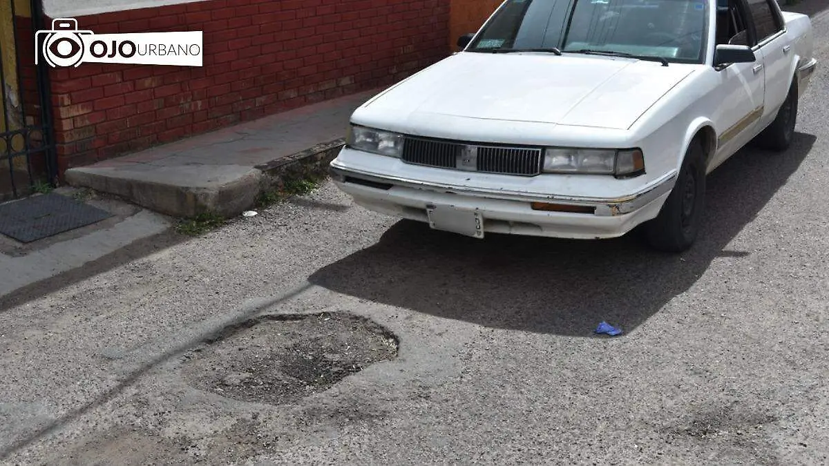 WhatsApp Image 2026-02-18 at 4.24.51 PM