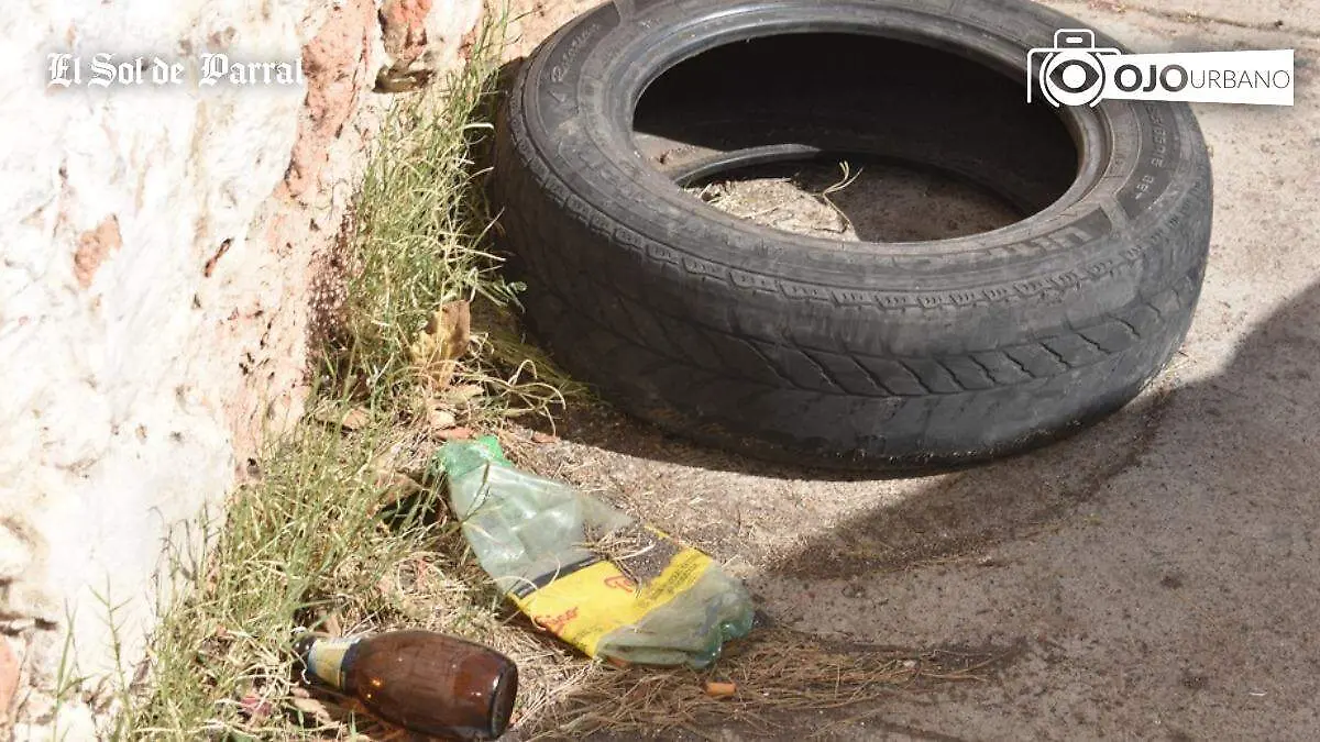 WhatsApp Image 2026-02-19 at 4.25.51 PM