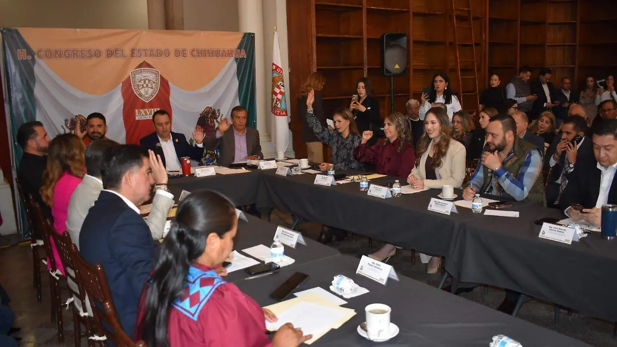 WhatsApp Image 2026-02-20 at 12.16.51 PM