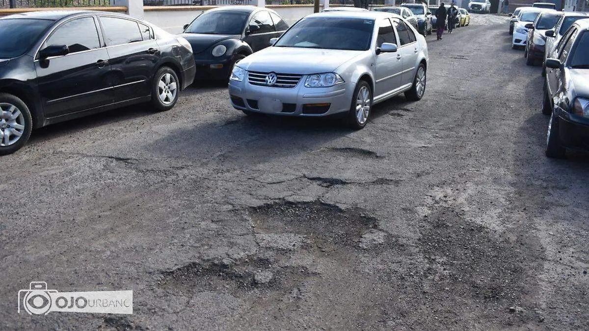 WhatsApp Image 2026-02-22 at 4.48.26 PM