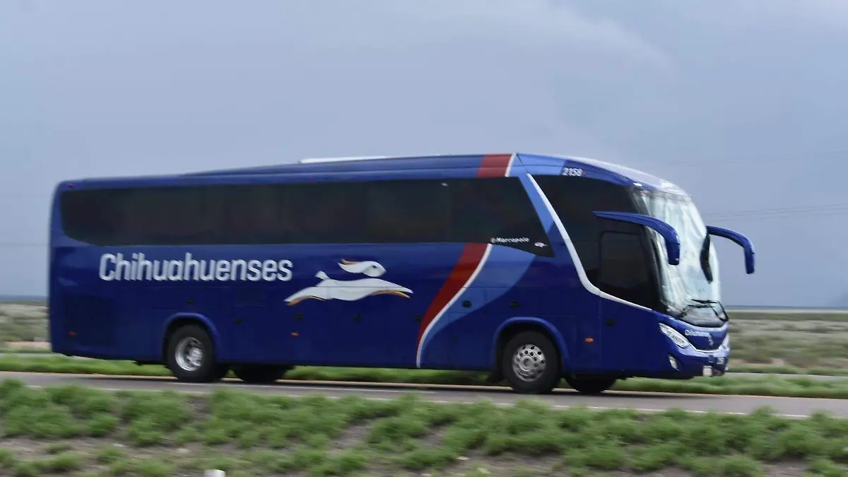 0f15a274-5332-4fb0-9090-7dba81a792d0