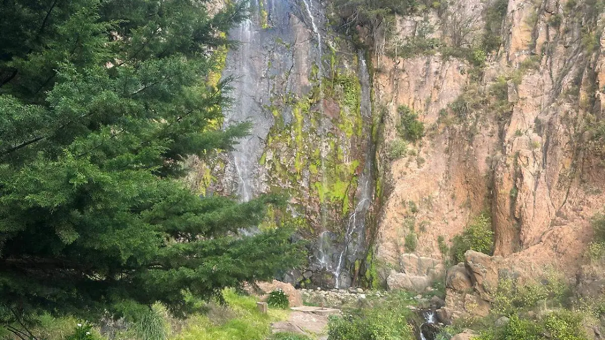 WhatsApp Image 2026-02-23 at 2.41.10 PM