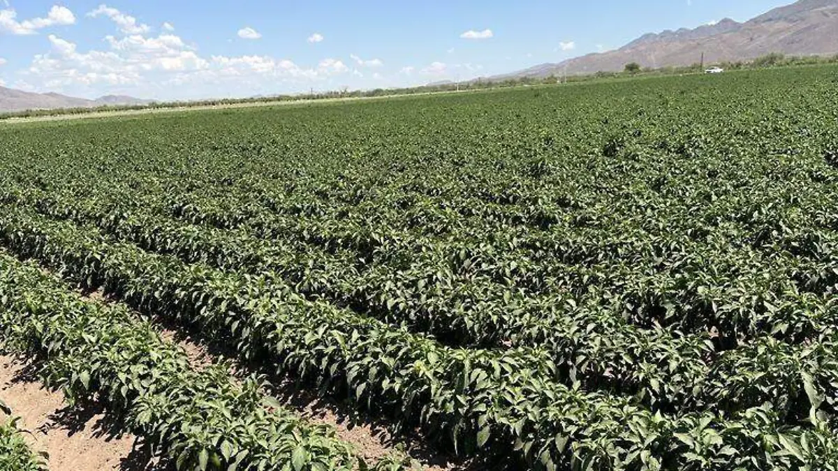 134635c7-9a3d-4733-acf6-10380f53fec5