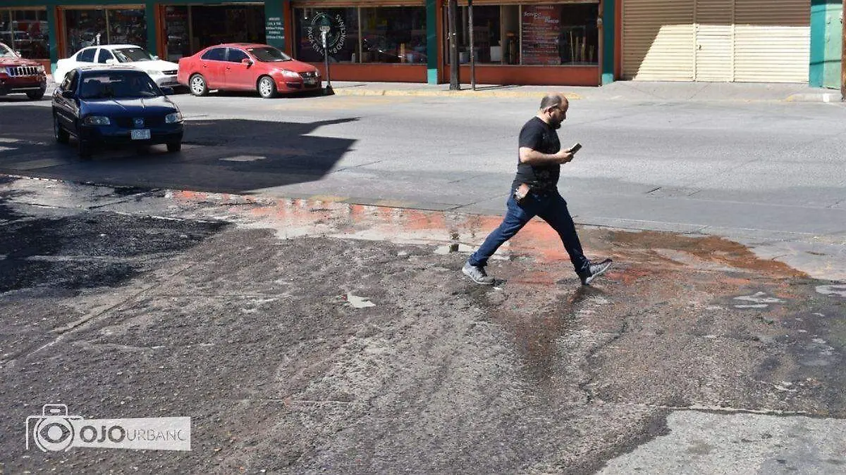 WhatsApp Image 2026-02-25 at 3.24.12 PM