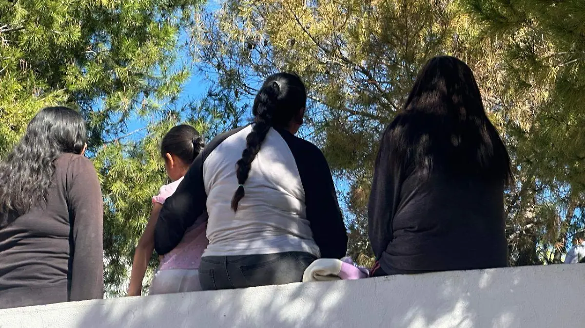 WhatsApp Image 2026-02-26 at 2.20.50 PM