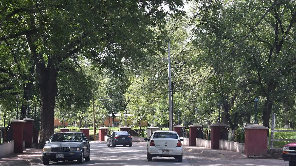 profe pardo meteorito