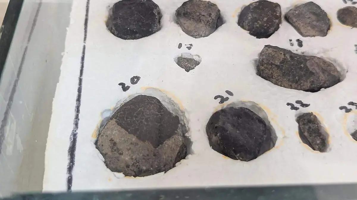 PROFE PARDO METEORITO