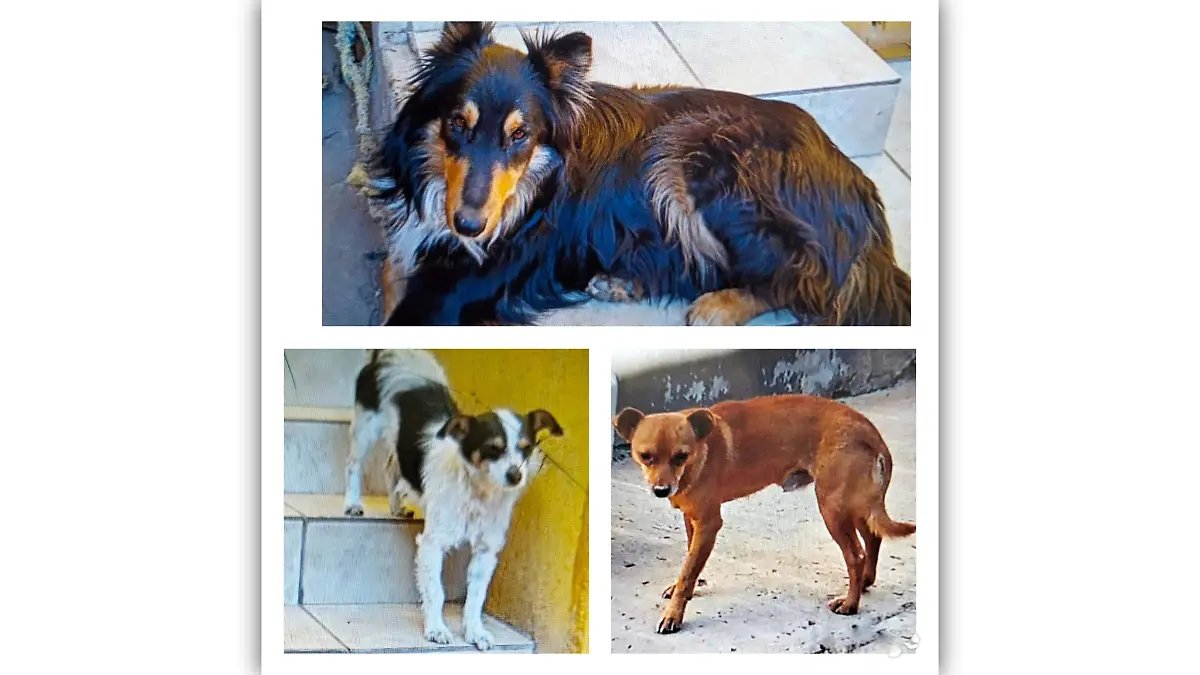 6C4EF46C-C6E3-439C-BDE8-E5321FBE9B51