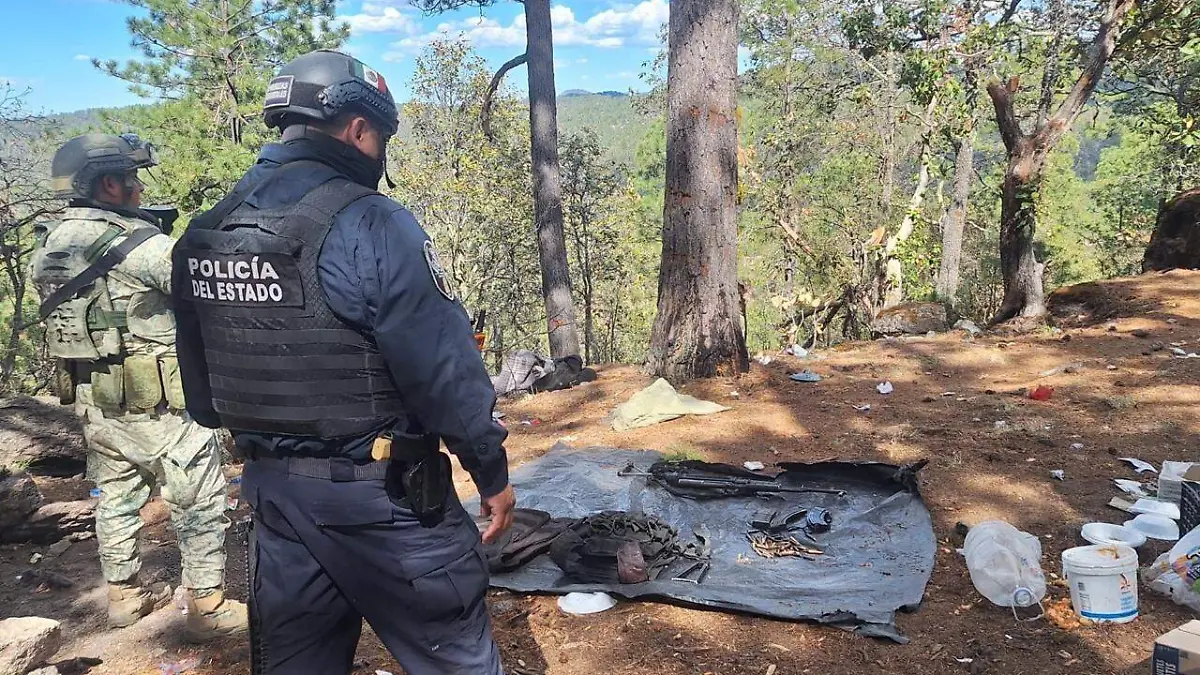 aef71fc2-6964-472b-81d7-9af240ddafa9