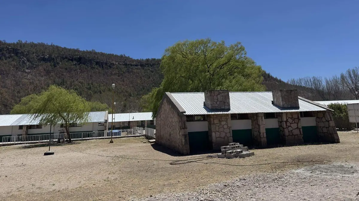 WhatsApp Image 2026-03-02 at 3.00.04 PM