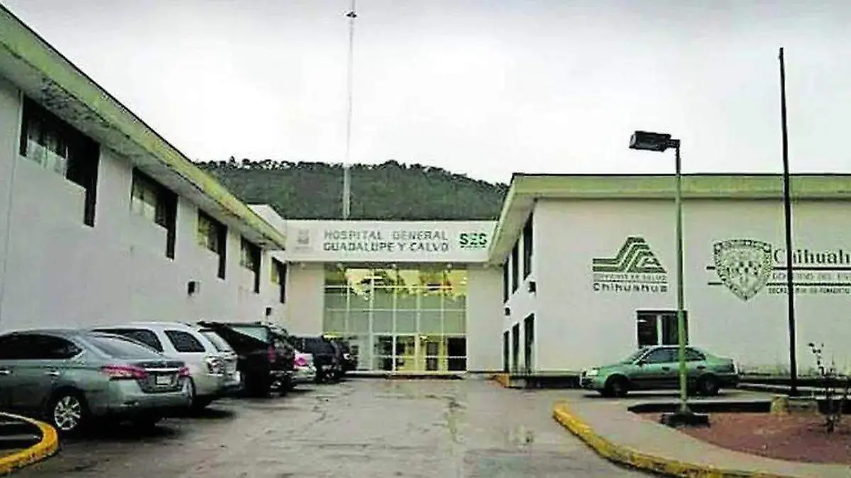 hospital de guadalupe y calvo