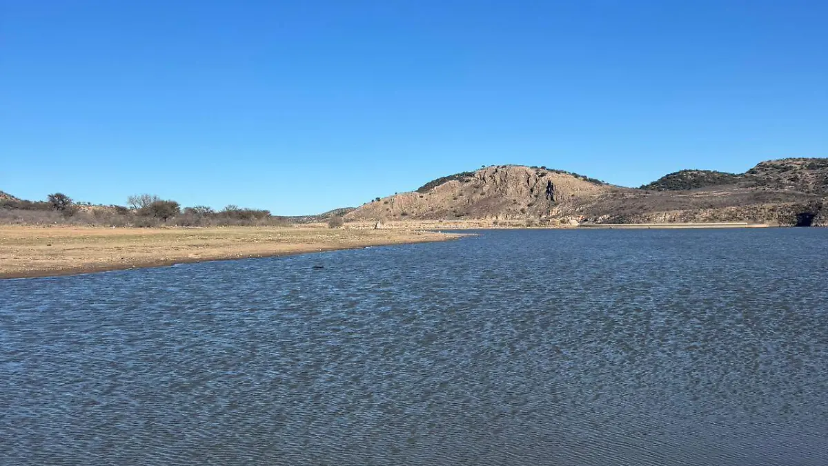 d6ddf6aa-970b-43e8-8e97-b81376df987c