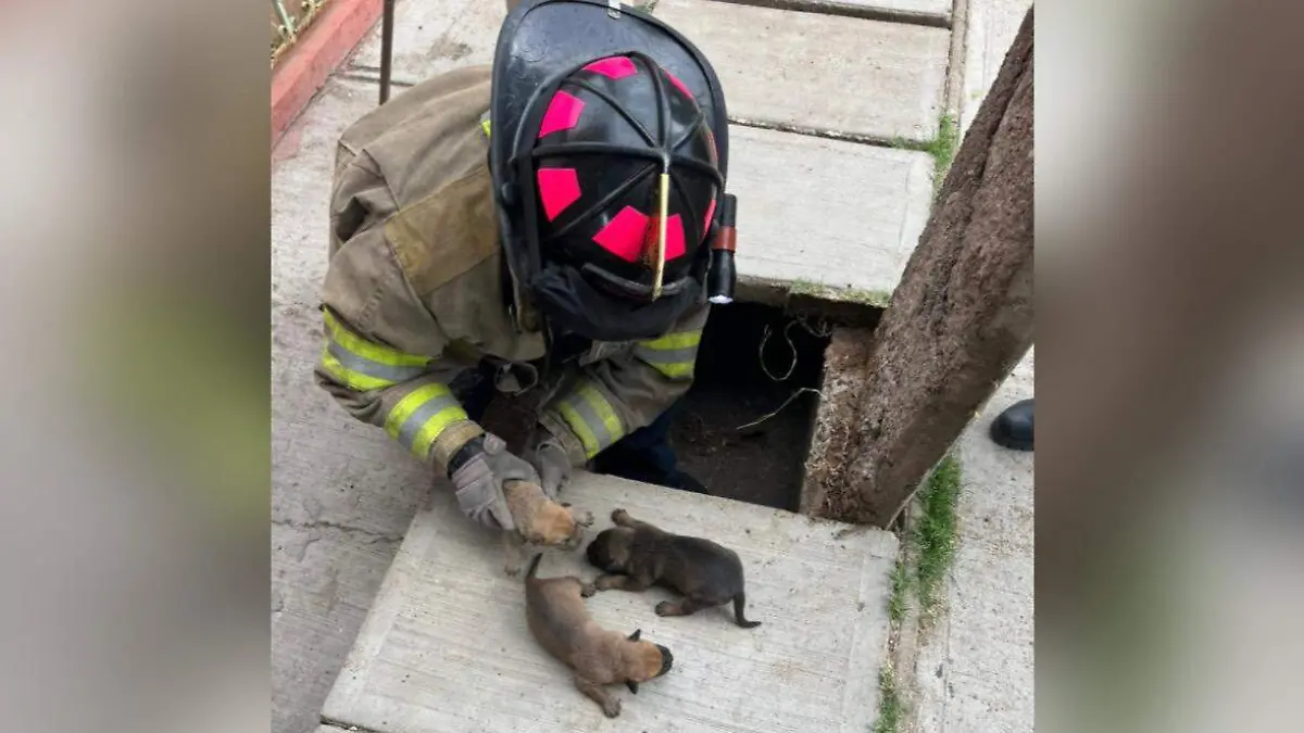 DC0CD5BE-6C18-461E-90F1-404702BC92E8