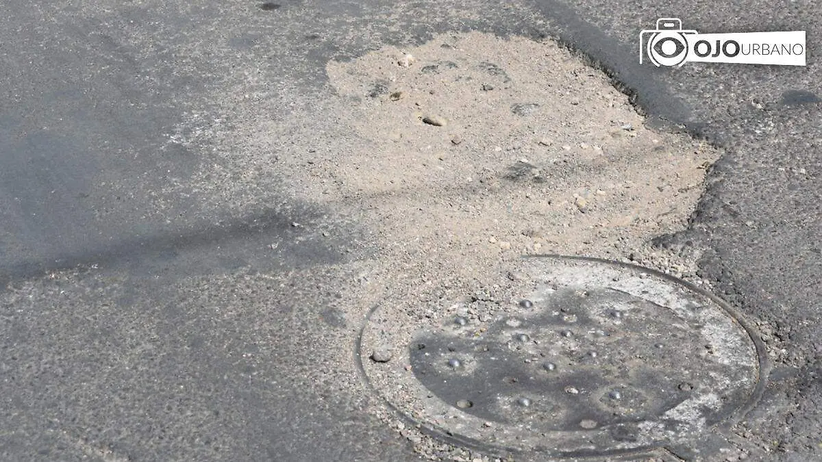 WhatsApp Image 2026-03-04 at 19.05.34