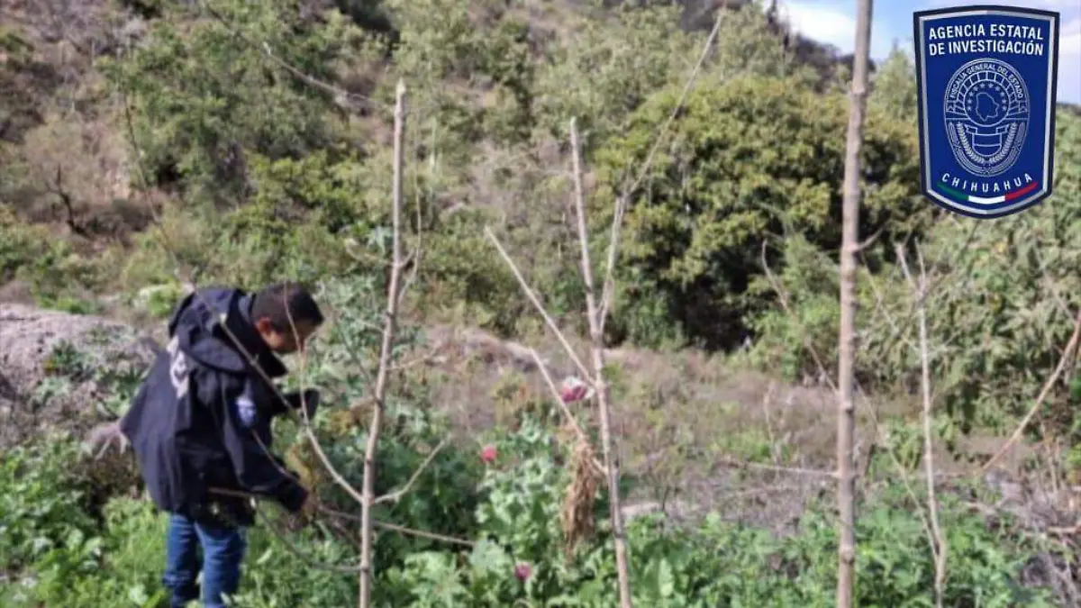 WhatsApp Image 2026-03-04 at 8.55.54 PM