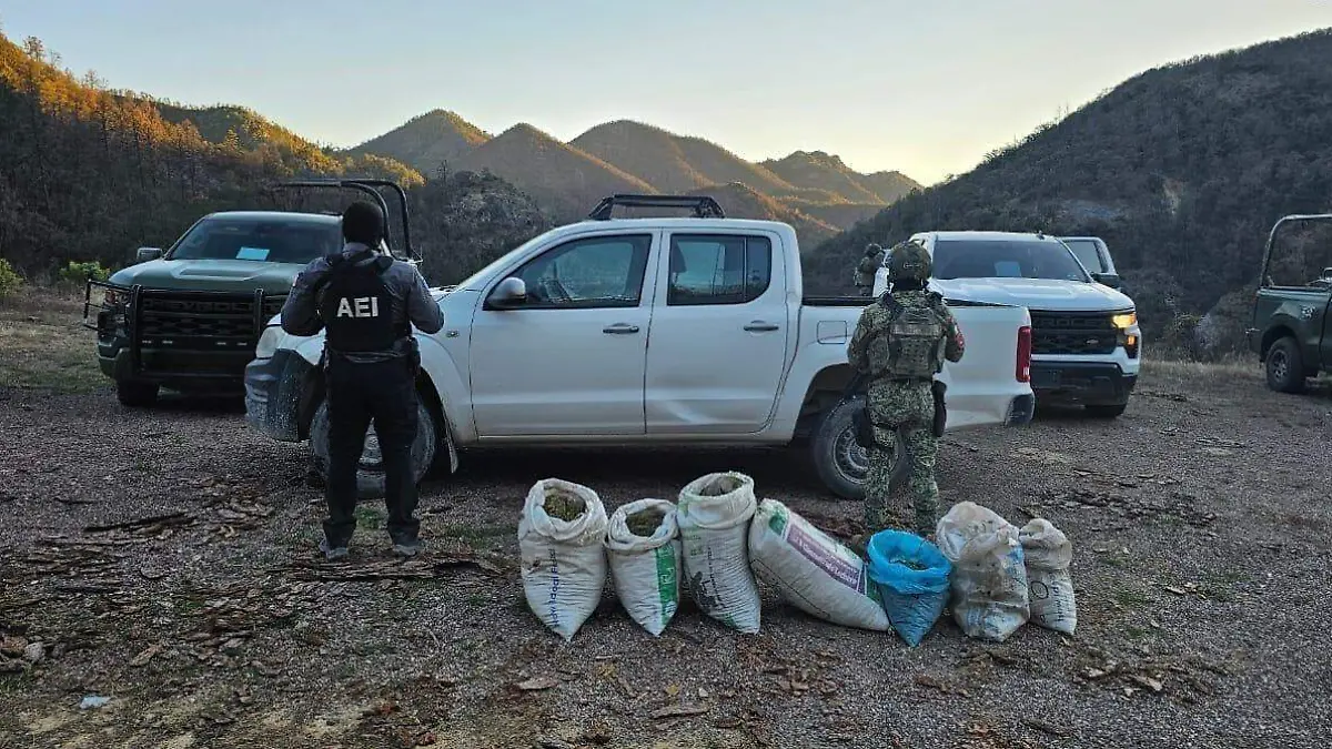 WhatsApp Image 2026-03-05 at 10.15.20 a.m.