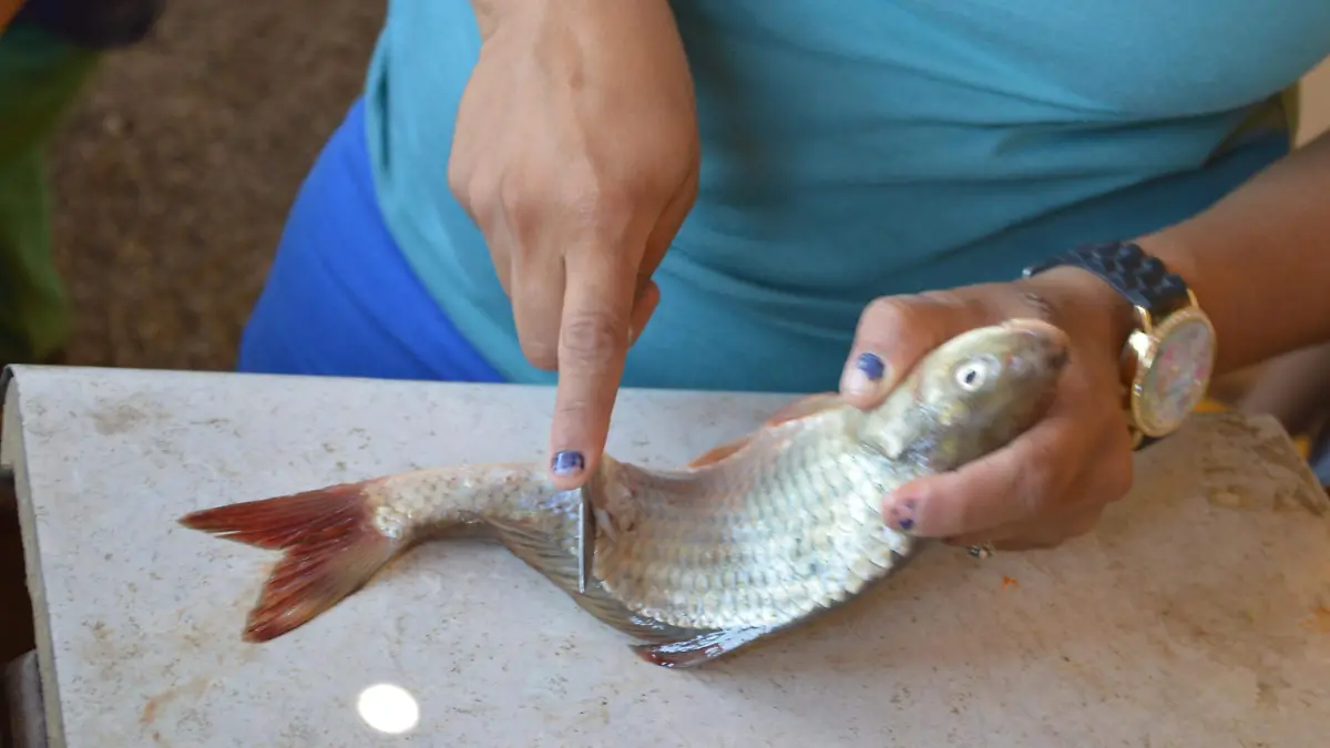 pescados 8 nota de marcos