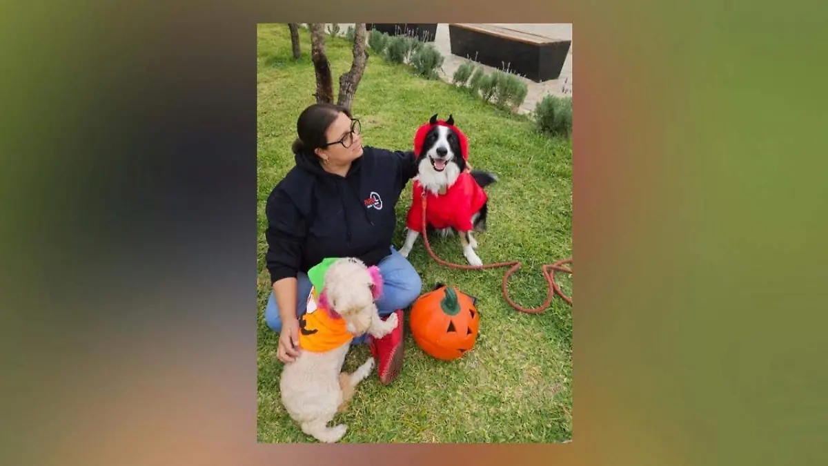 876e7bb3-f35c-43fd-a1a2-774780350ef0