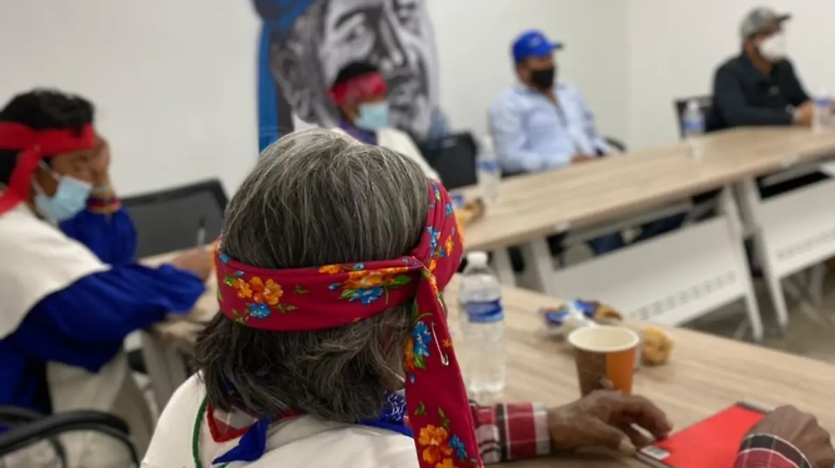 Comunidad Tehuerichi