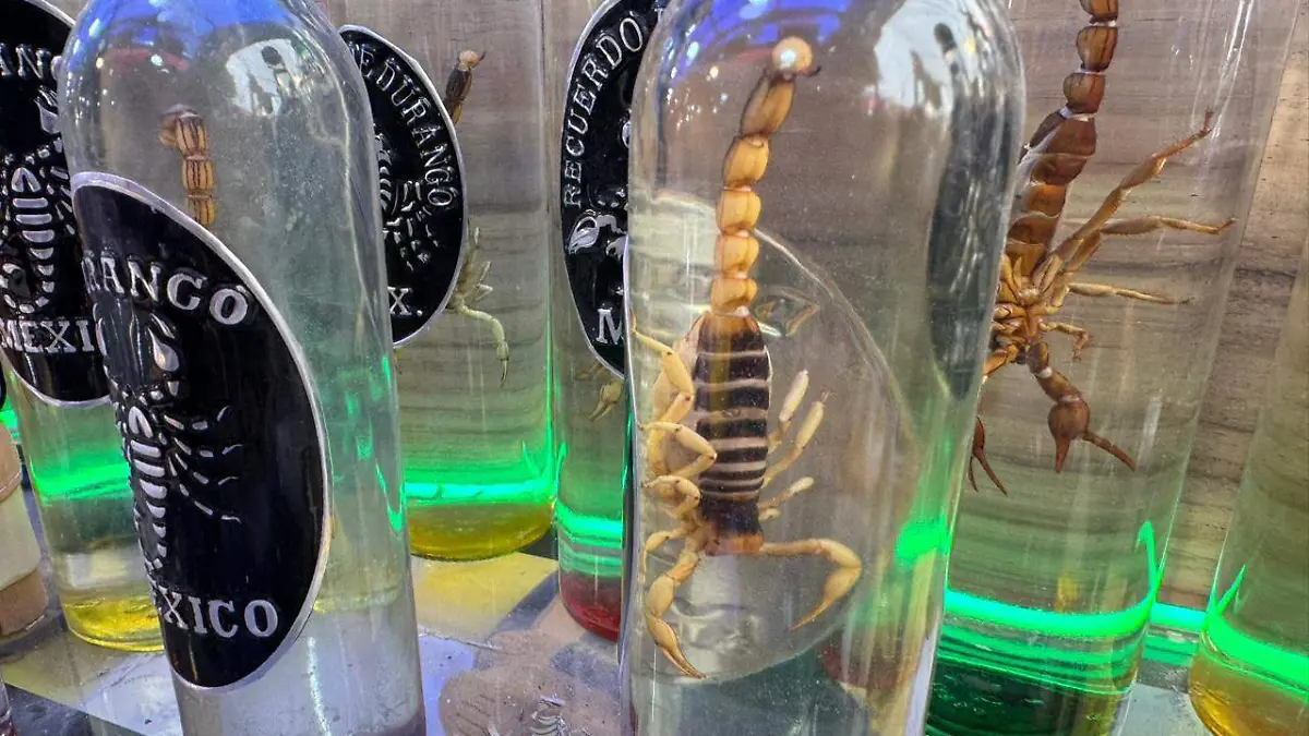 WhatsApp Image 2026-03-06 at 5.47.37 PM