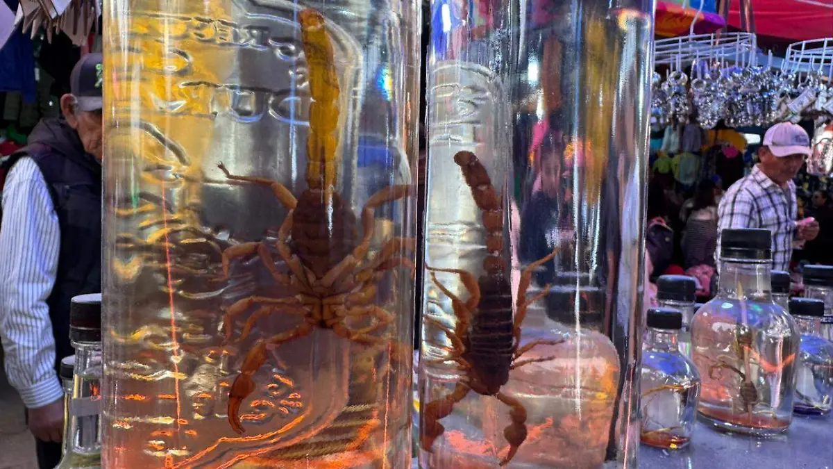 Mezcal con alacrán