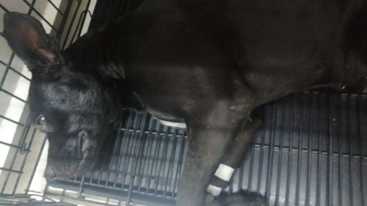 WhatsApp Image 2026-03-11 at 10.16.41 AM