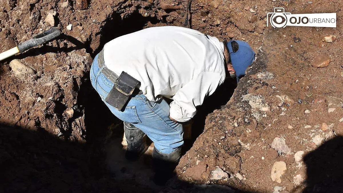 PHOTO-2026-03-11-17-17-42