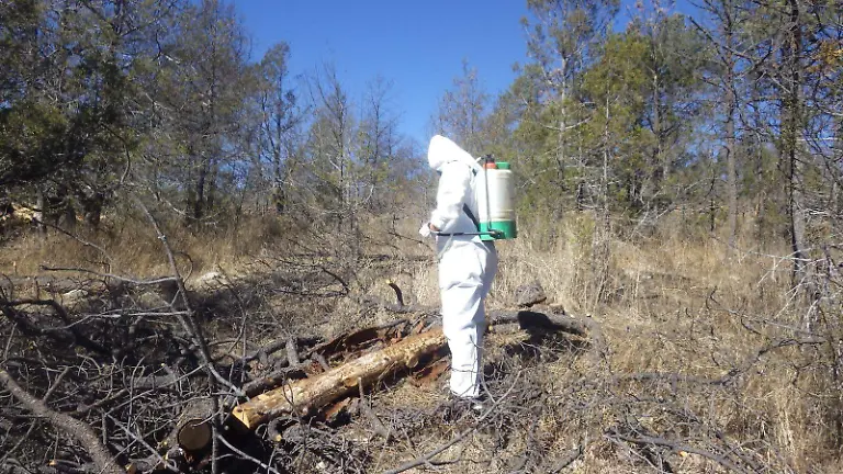 WhatsApp Image 2026-03-14 at 22.23.42