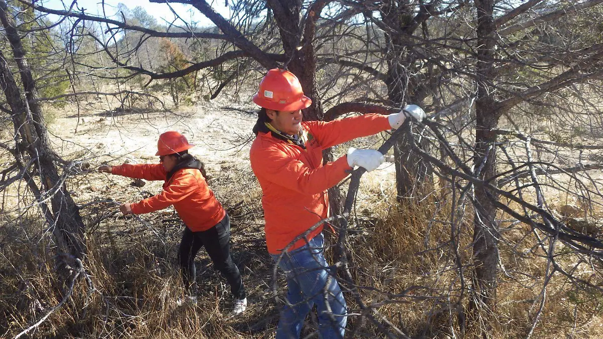 WhatsApp Image 2026-03-14 at 22.23.41