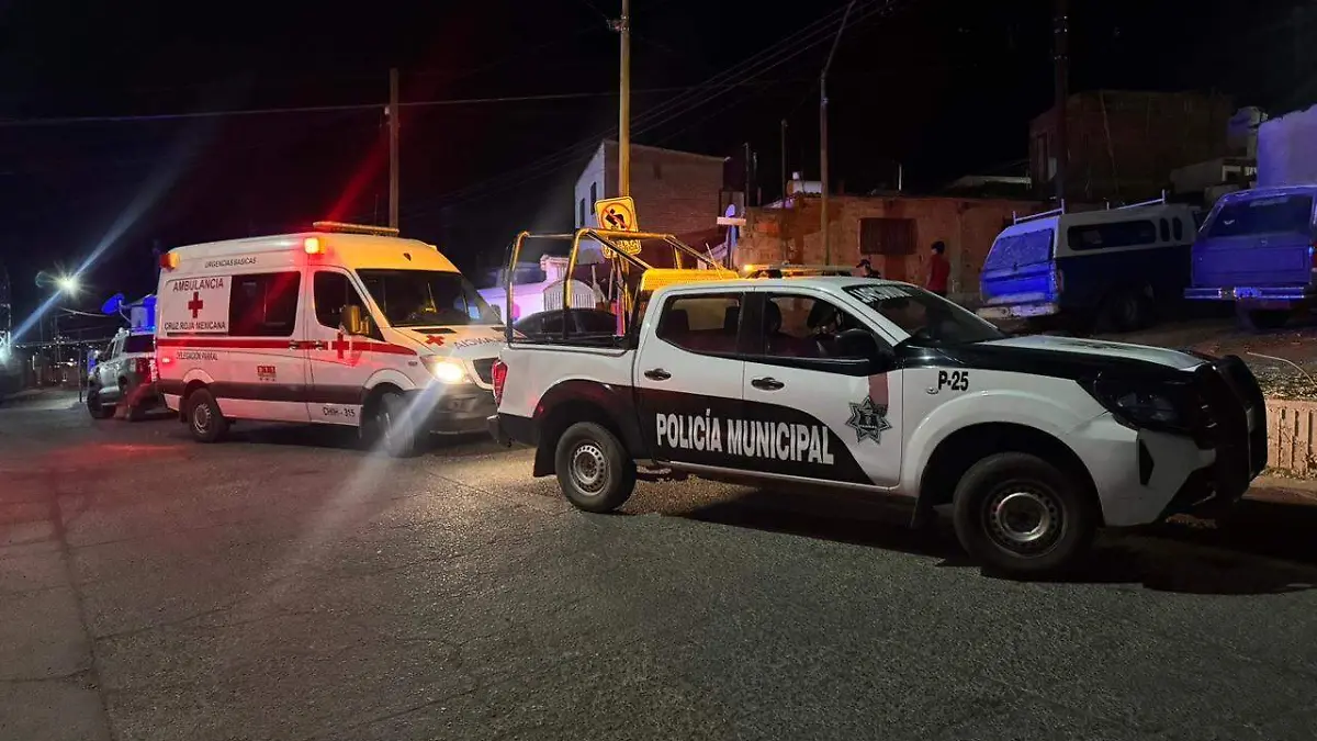 85235ec1-5384-4d0b-bbd7-a1b39fe56109