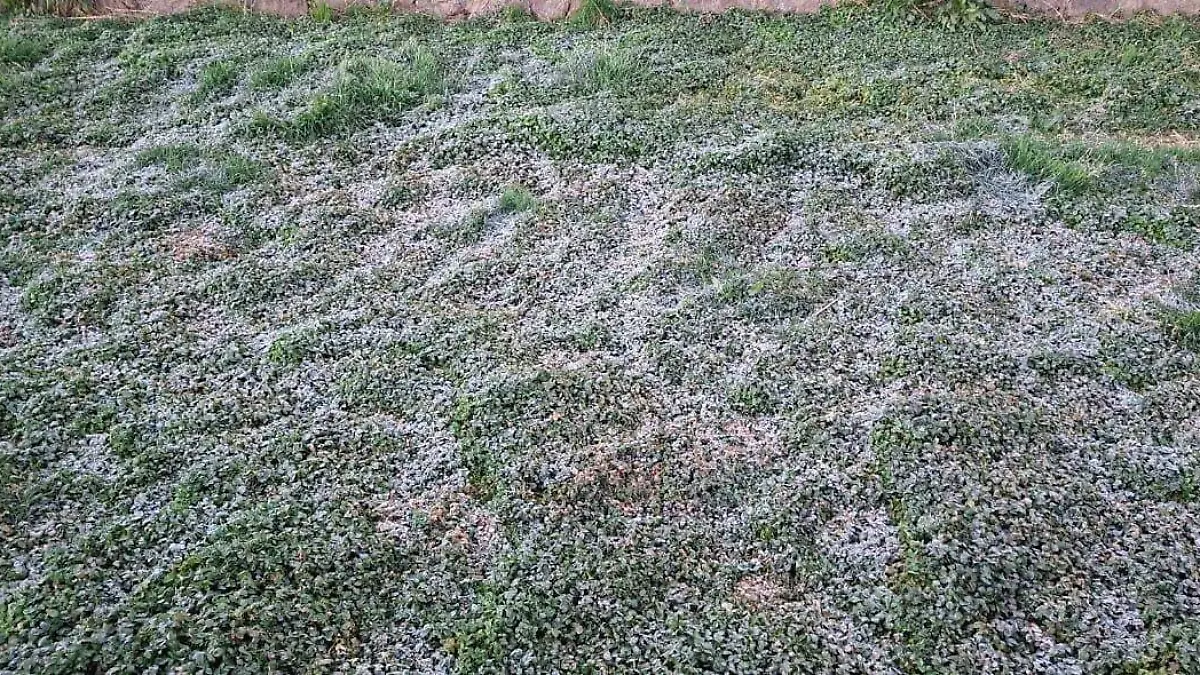 58d53dde-4f9b-4005-b578-6b9d08b0e878