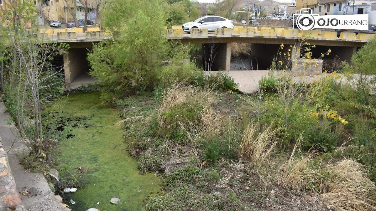 WhatsApp Image 2026-03-16 at 3.40.03 PM