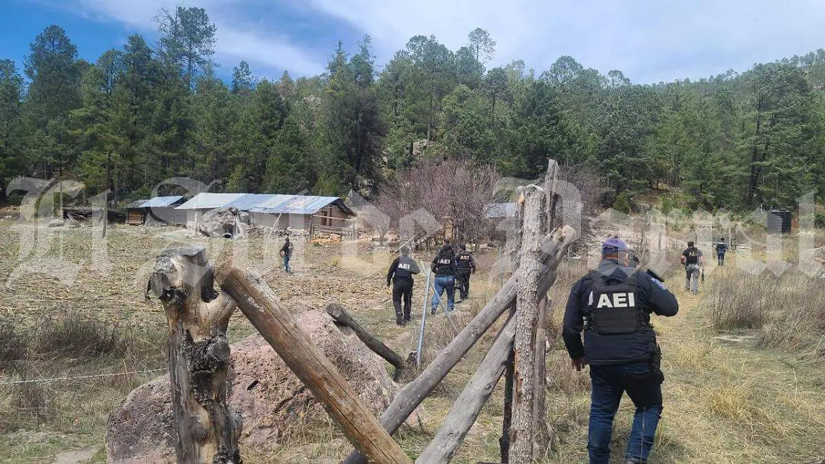 6e081992-b5a5-4763-9b19-790bcec496b3