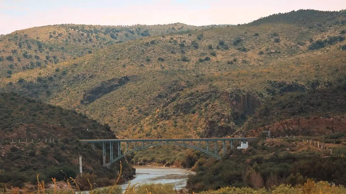 WhatsApp Image 2026-03-17 at 5.01.53 PM