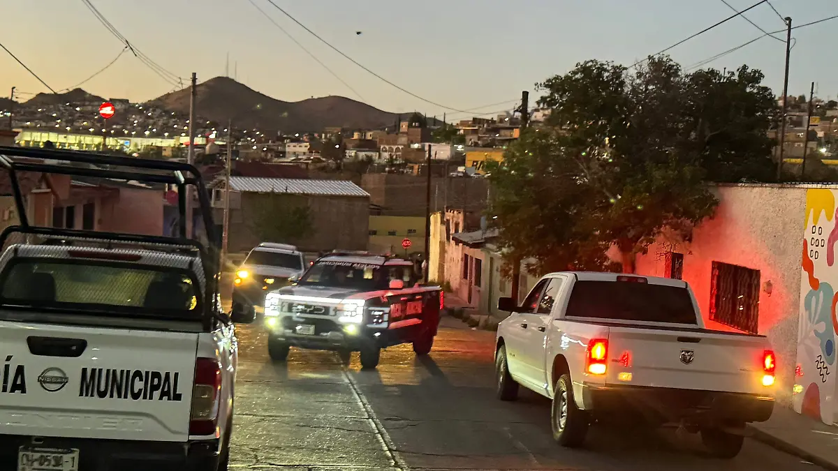 WhatsApp Image 2026-03-17 at 7.44.22 p.m.