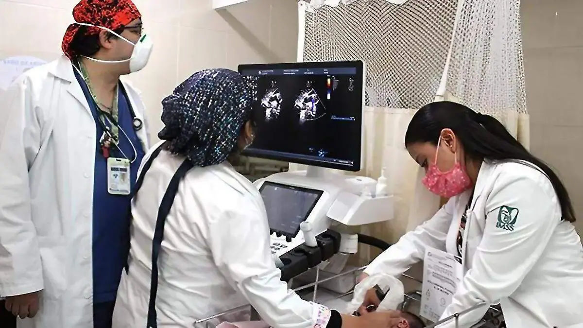 Partera luz elena portillo